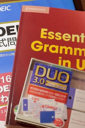 Essential English Grammar PDF Téléchargement Gratuit