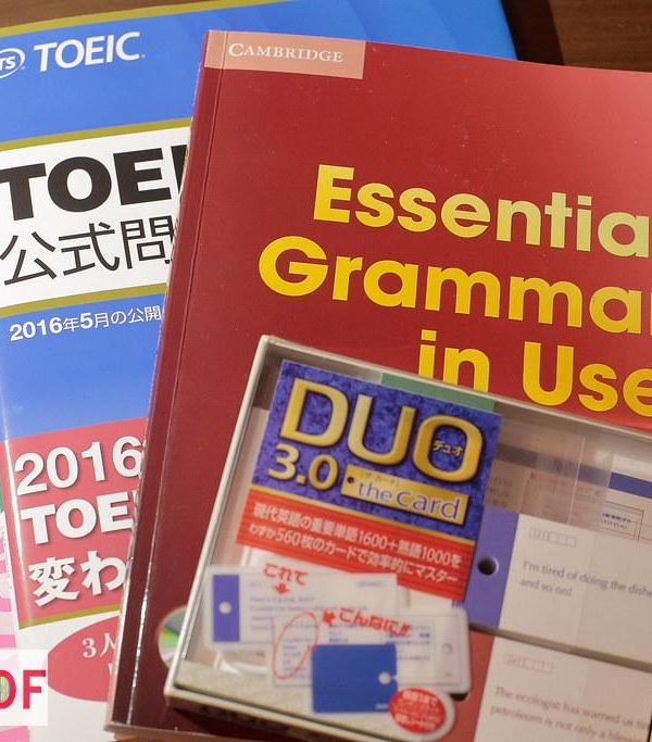 Essential English Grammar PDF Téléchargement Gratuit