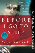 Before I Go To Sleep PDF Download
