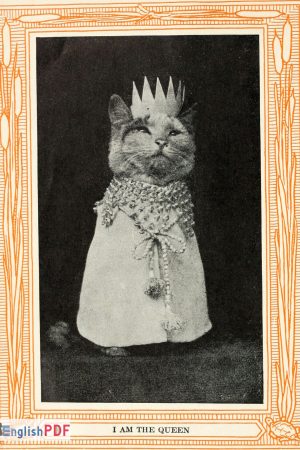 Kittens And Cats PDF Download