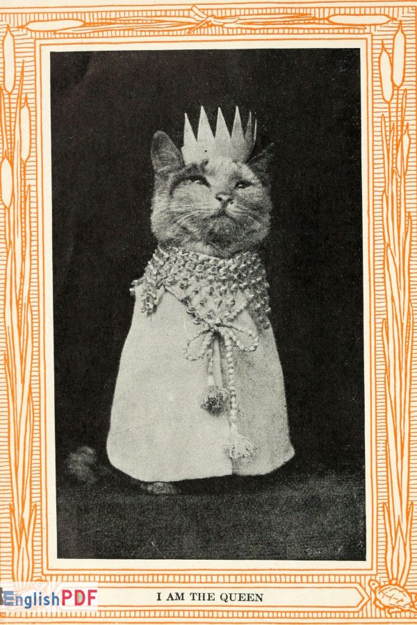 Kittens And Cats PDF Download