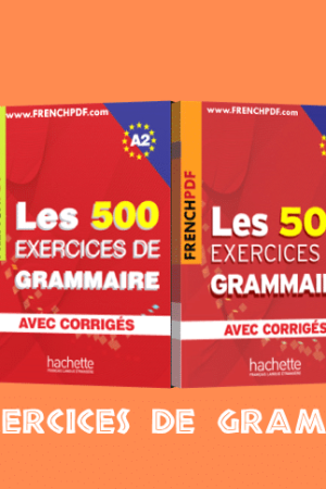 Les 500 Exercices de Grammaire PDF