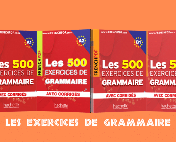 Les 500 Exercices de Grammaire