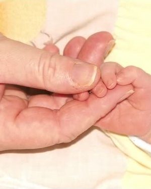 Prendre un enfant par la main PDF