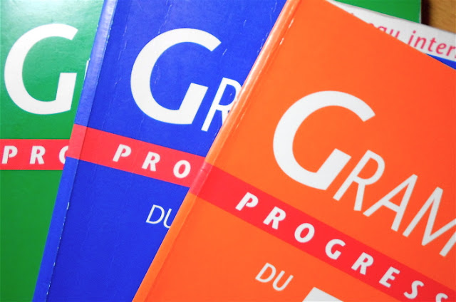 Infographie : Grammaire progressive en image 5