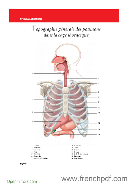 TÉLÉCHARGER ENCYCLOPEDIE MDICALE GRATUIT ENCYCLOPEDIE GRATUIT TÉLÉCHARGER MDICALE