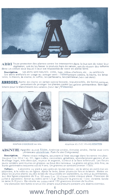 Dictionnaire Vilmorin des Plantes potagères - Vilmorin-Andrieux 7