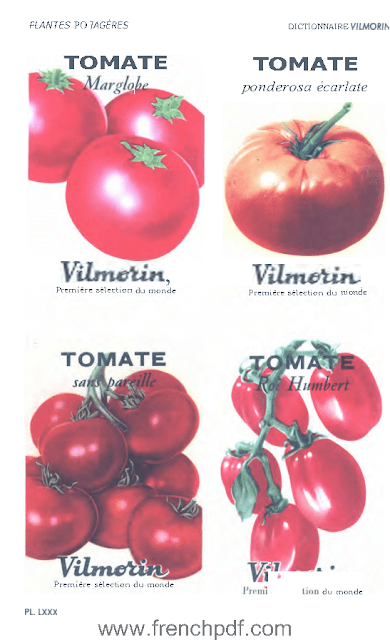 Dictionnaire Vilmorin des Plantes potagères - Vilmorin-Andrieux 10