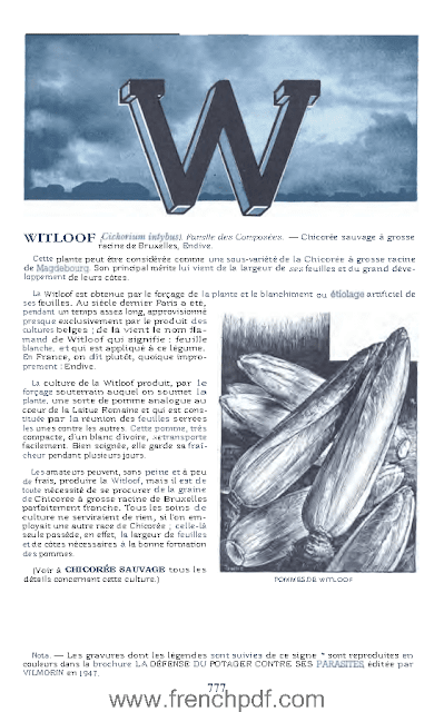 Dictionnaire Vilmorin des Plantes potagères - Vilmorin-Andrieux 11