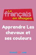 Apprendre Les chevaux et ses couleurs – Le français en images
