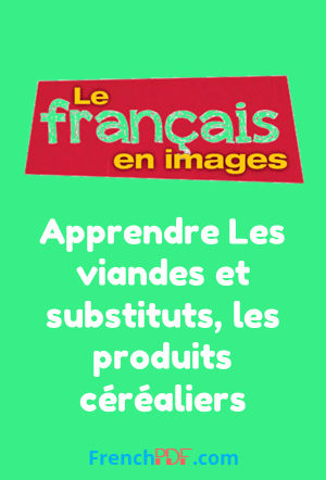 Apprendre Les viandes et substituts, les produits céréaliers – le français en image