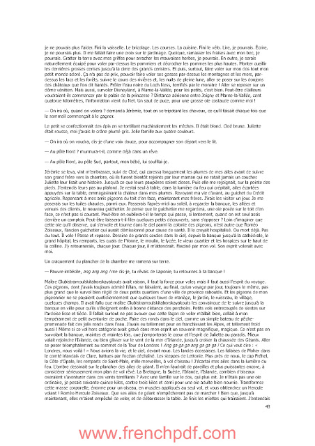 Le Fabuleux départ en Laponie de la famille Zoiseaux - Jean-Marie Gourio 9