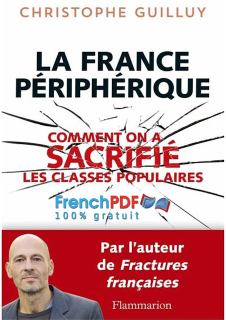 La France Périphérique: Le livre qui a changé la campagne ! 7
