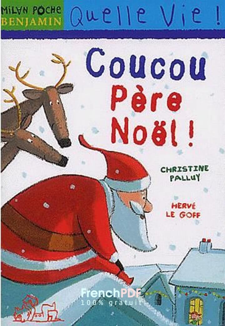 Livre Pour Enfant Coucou Pere Noel Par Palluy Christine