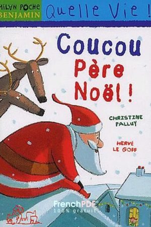 Livre pour enfant: Coucou Père Noël ! Par Palluy, Christine