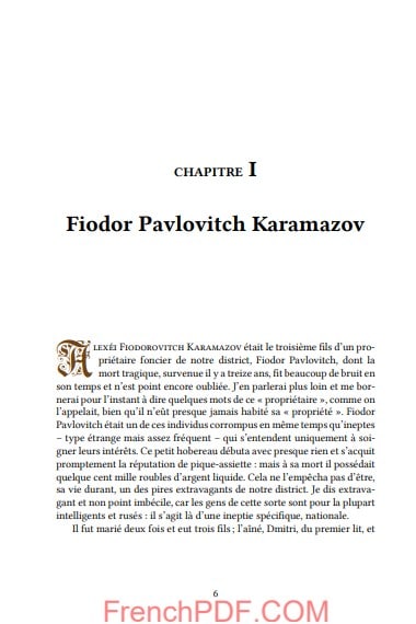 Les freres Karamazov image 1