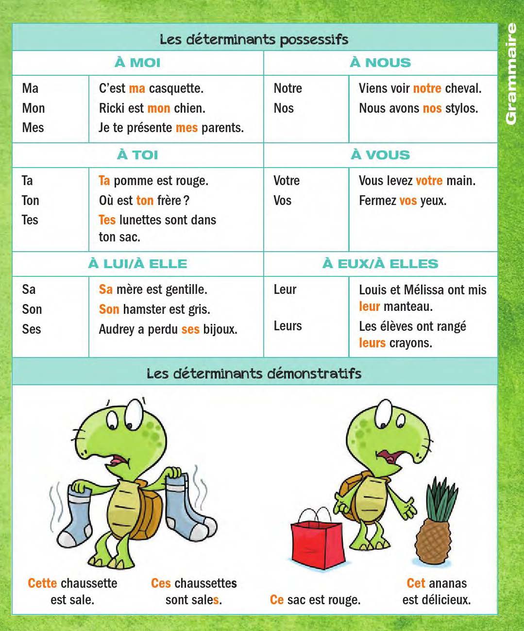 Télécharger Le français en images