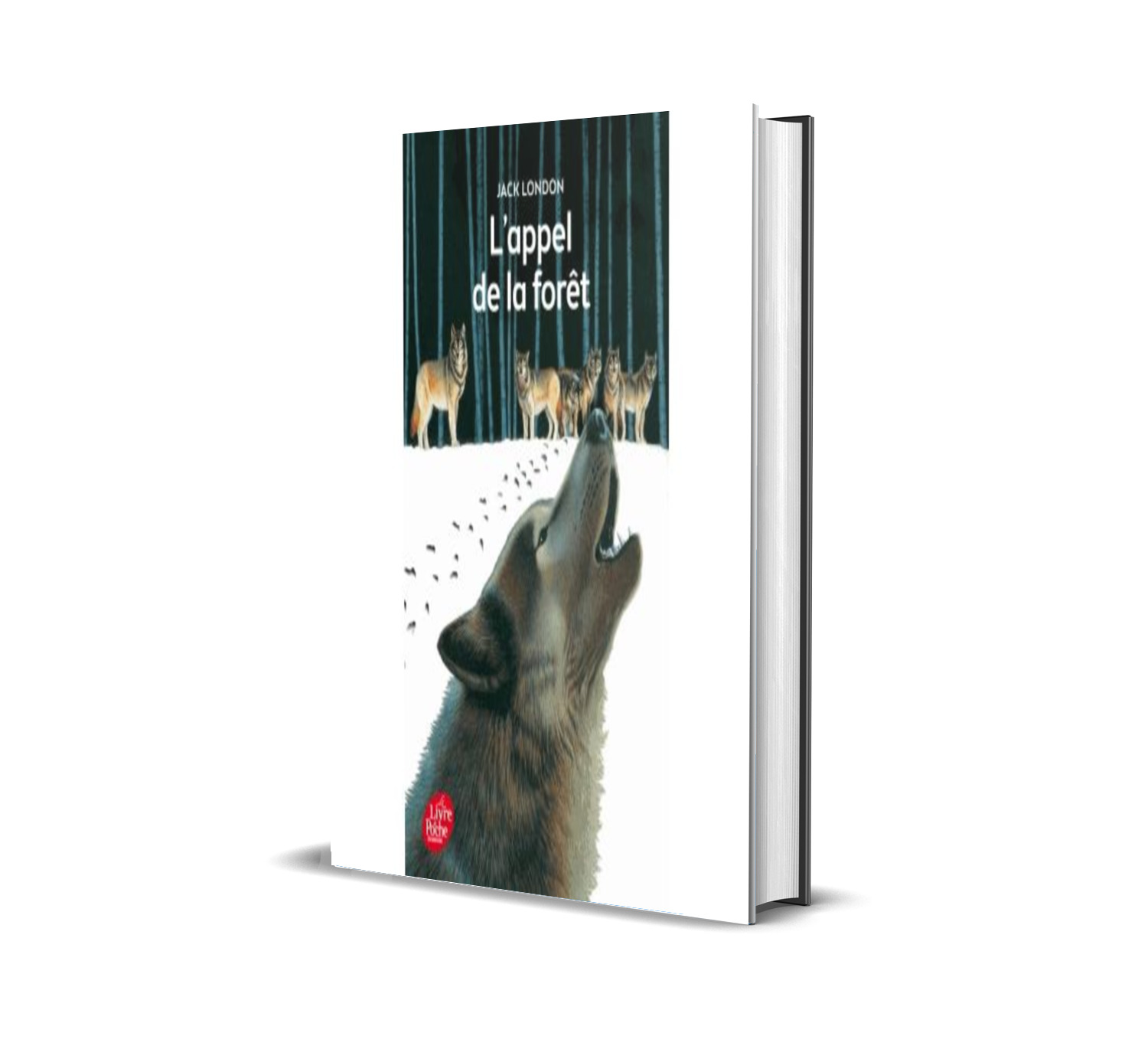 20 Livres Spéciaux à Lire dans sa vie + Liens de Téléchargement en PDF ! 7