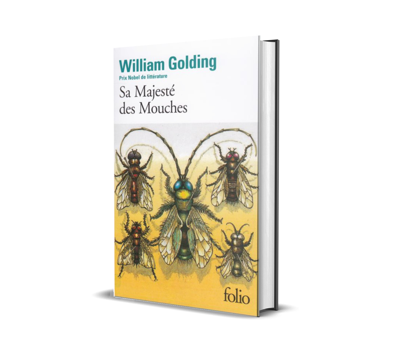 20 Livres Spéciaux à Lire dans sa vie + Liens de Téléchargement en PDF ! 9