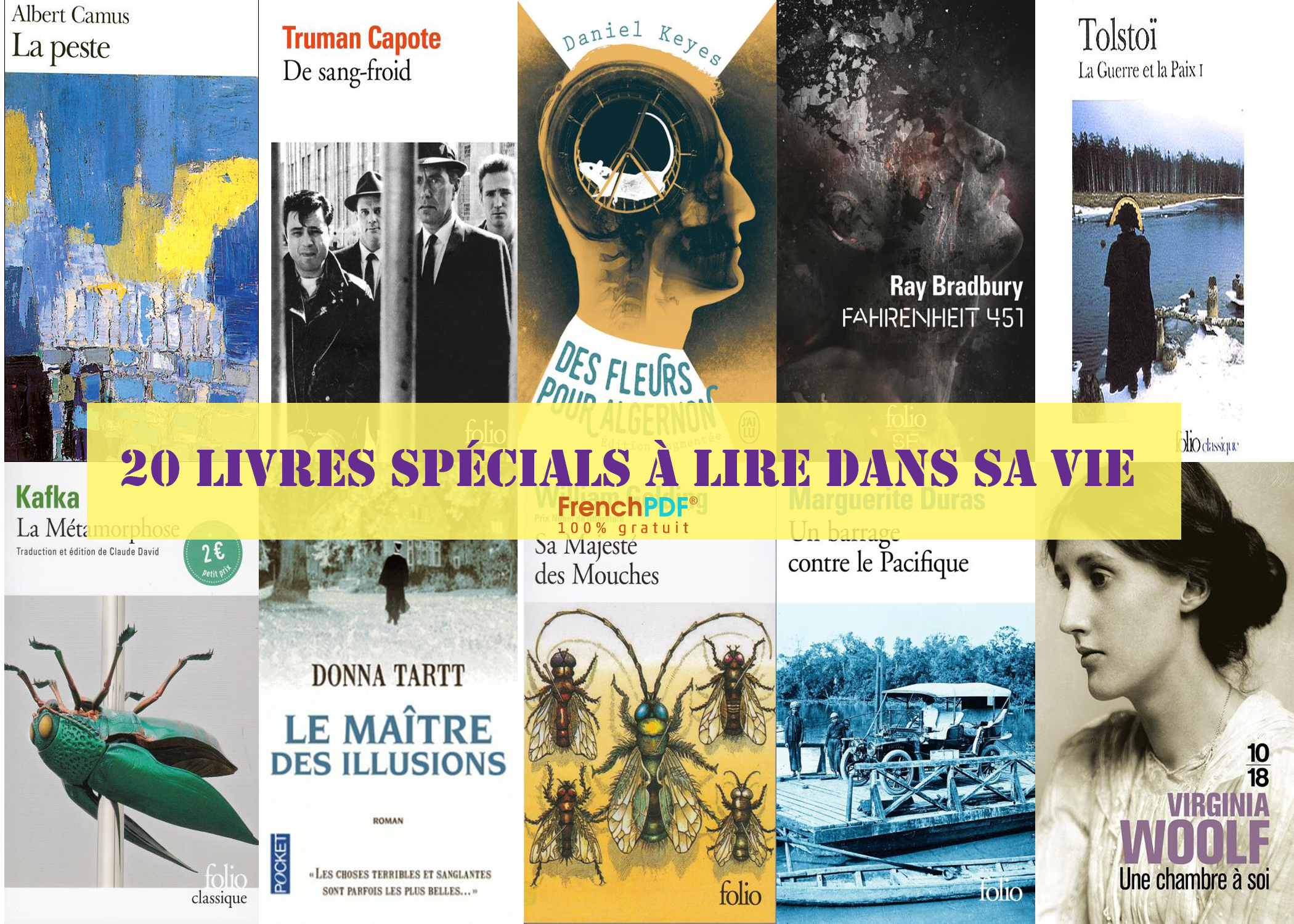 20 Livres Spéciaux à Lire dans sa vie + Liens de Téléchargement en PDF ! 3