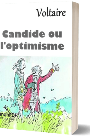 Candide ou l&rsquo;Optimisme PDF