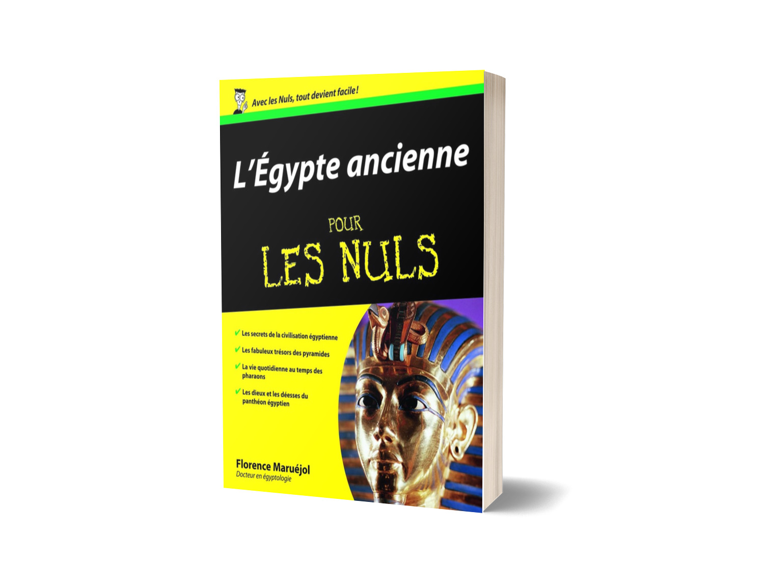 La plus grande collection Pour les nullissimes PDF, livres en ligne 2