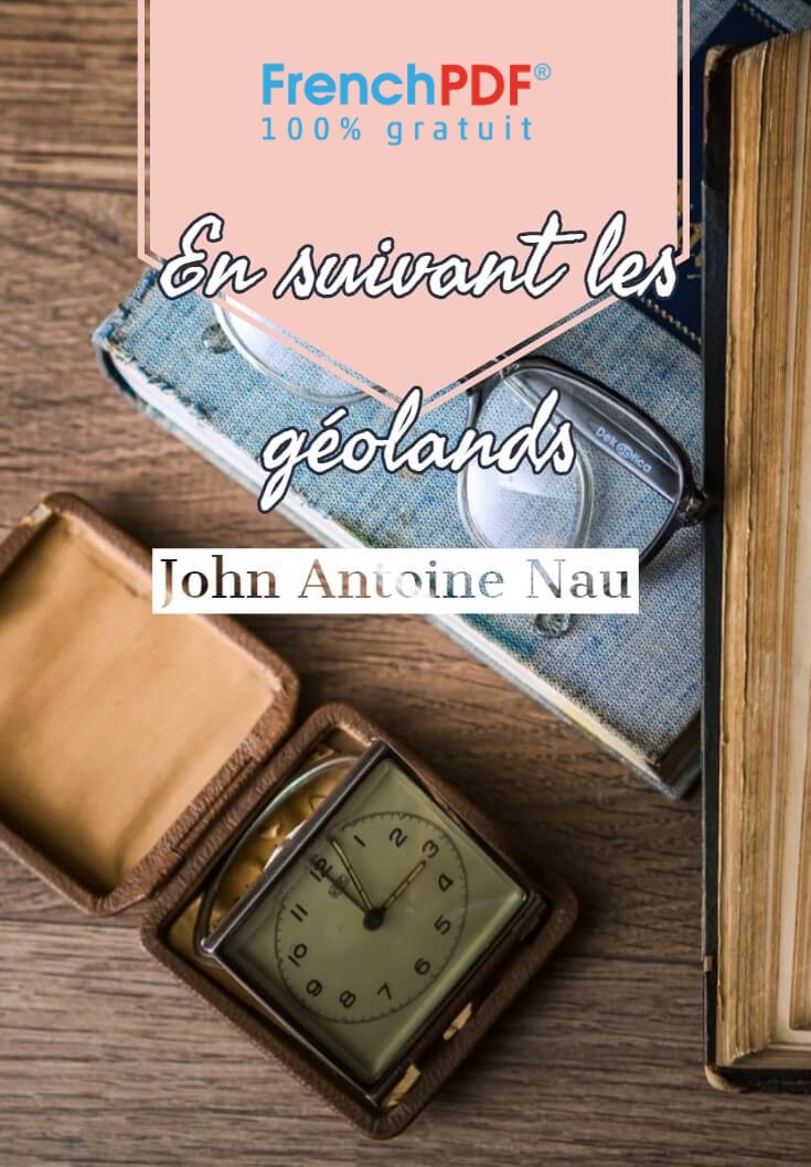 En suivant les goélands de John-Antoine Nau en PDF 1
