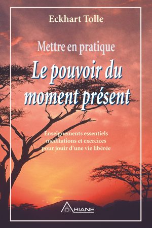 Le Pouvoir du Moment Présent PDF