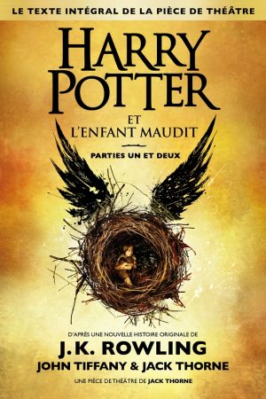 Harry Potter et l&rsquo;Enfant Maudit PDF