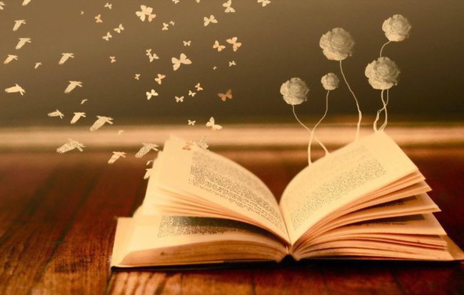 هي أهميات القراءة هي أهميات القراءة