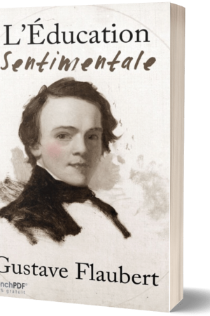L&rsquo;Éducation sentimentale PDF
