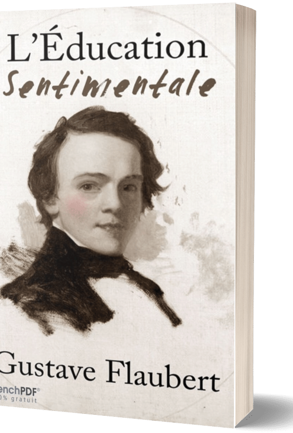 L&rsquo;Éducation sentimentale PDF