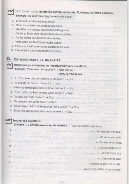 grammaire 450 nouveaux exercices niveau debutant