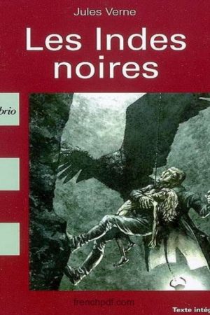 Les Indes noires PDF