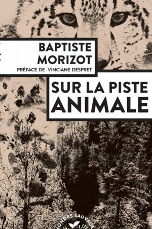 Sur la piste animale PDF de Baptiste Morizot