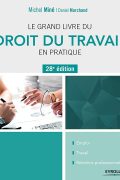 Le grand livre du droit du travail en pratique PDF
