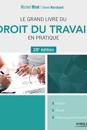 Le grand livre du droit du travail en pratique PDF