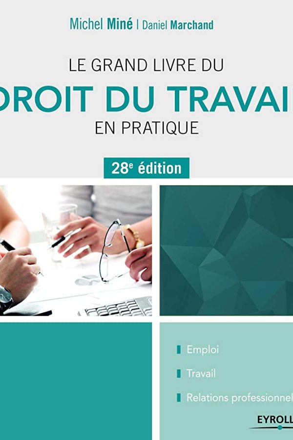 Le grand livre du droit du travail en pratique PDF