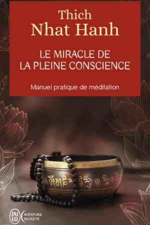 Le Miracle de la Pleine Conscience PDF